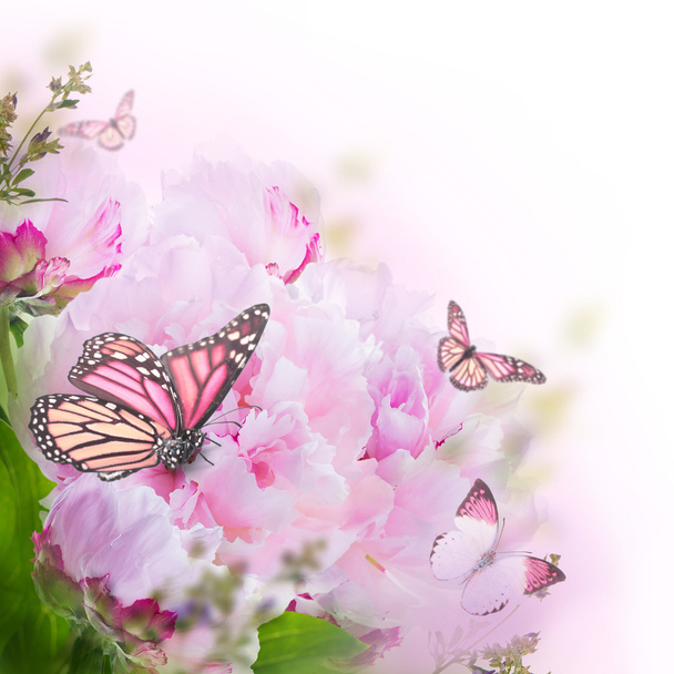 Floral background - Foto, afbeelding