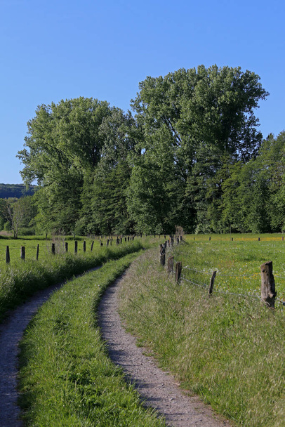 a beautiful view of a rural landscape - Fotó, kép