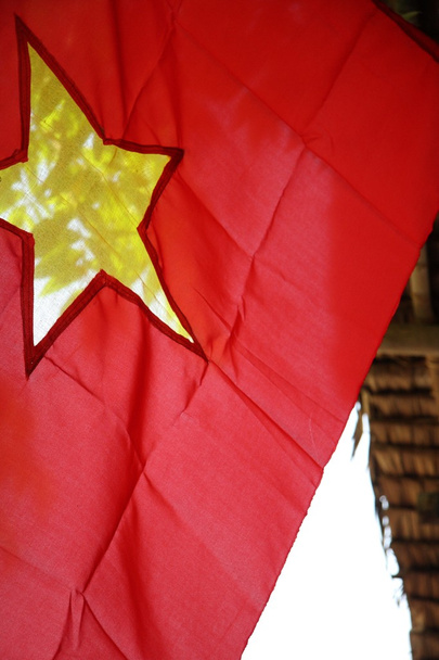 Bandiera del Vietnam
 - Foto, immagini