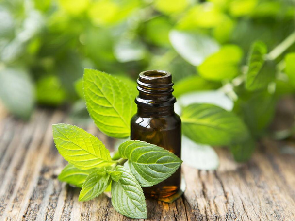 Natural Mint Essential Oil in a Glass Bottle with Fresh Mint Leaves - Zdjęcie, obraz