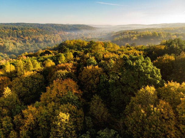 Aerial view of autumn forest with green and yellow trees. Mixed deciduous and coniferous forest. Beautiful fall scenery near Vilnius city, Lithuania - Foto, imagen