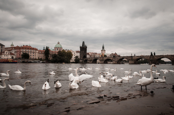 PRAG - Foto, Bild