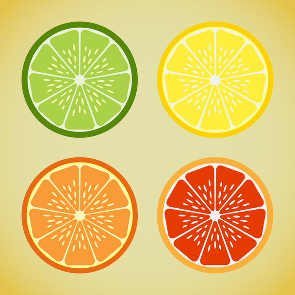 citrus - Vector, afbeelding