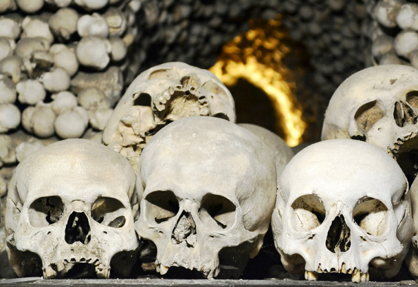 Three skulls in Kostnice cathedral - Photo, Image