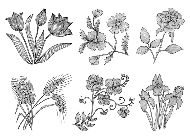 Decorative flowers - Vettoriali, immagini