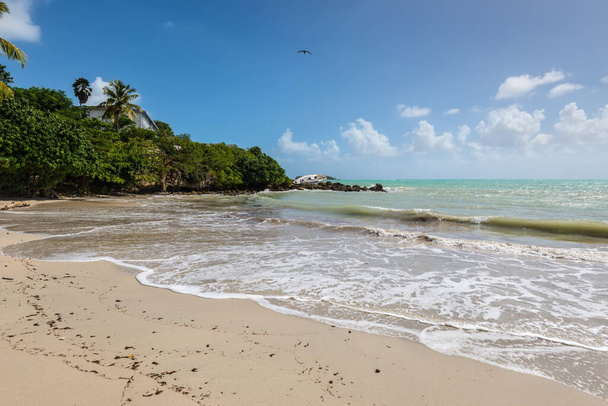 Paradijs tropisch strand, de Gosier in Guadeloupe eiland, Caribisch gebied. Een zeilboot werd vernietigd en achtergelaten op de kust na een orkaan. - Foto, afbeelding