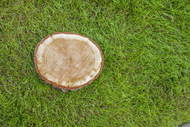 tree stump on the grass, top view - Фото, зображення
