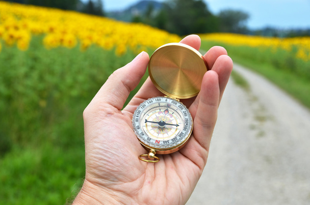 Compass in hand - Photo, Image