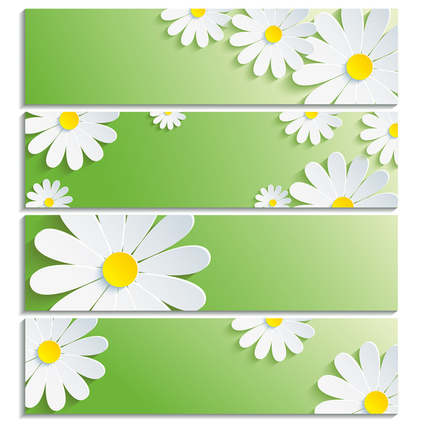 Set of banners with 3d flower white chamomile - Vetor, Imagem