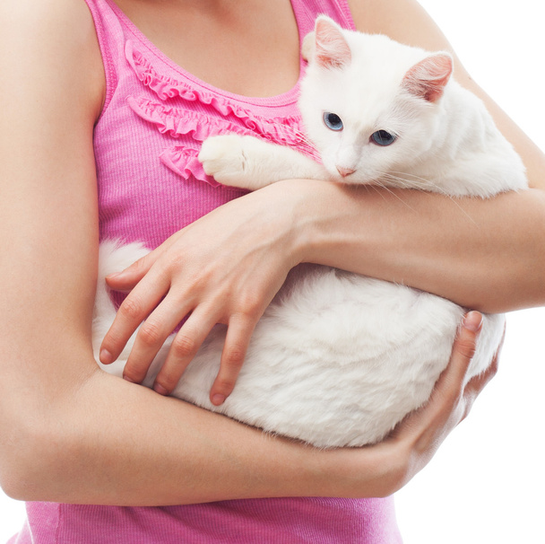 white cat in the hands of women - Foto, Bild