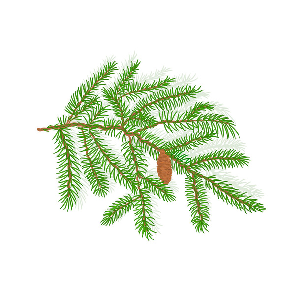 vuren kerstboom vectorillustratie - Vector, afbeelding