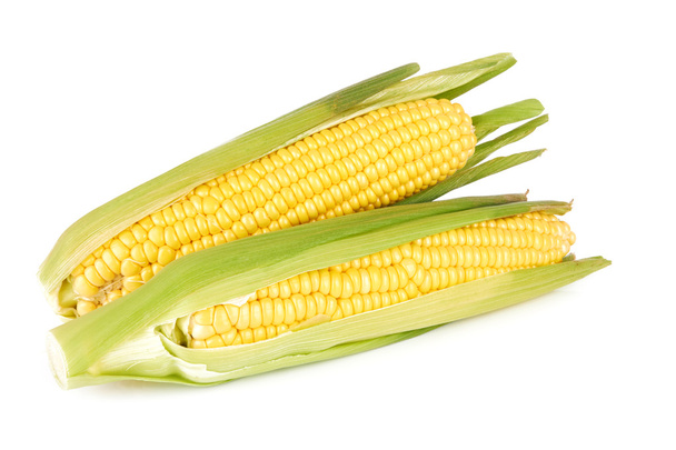 kukurydza - Zdjęcie, obraz