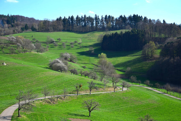 green hills and trees in the countryside - Zdjęcie, obraz