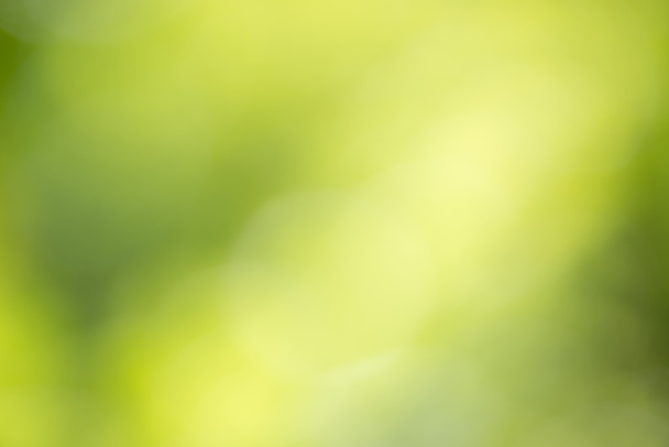 Borroso fondo verde
 - Foto, imagen