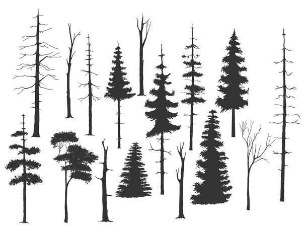 free hand drawing set of the tree - Vector, Image