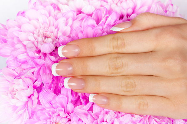 woman's hand with french manicure - 写真・画像