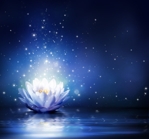 Волшебный цветок на воде - синий
 - Фото, изображение