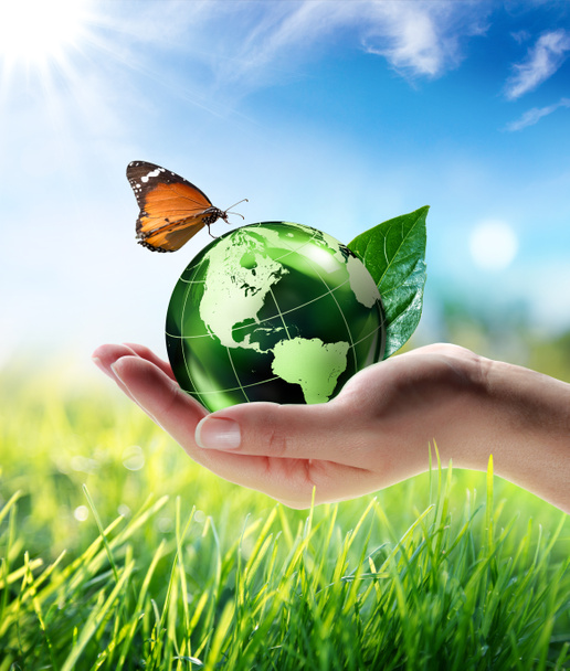Eco-friendly concept - Photo, Image