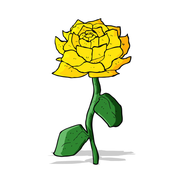 Žlutá růže kreslený - Vektor, obrázek