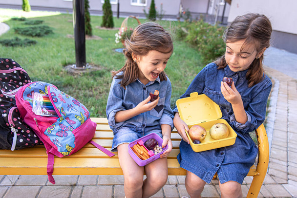 Back to school. Cute little school girls sitting on bench in school yard and eating lunch outdoor. - Photo, Image