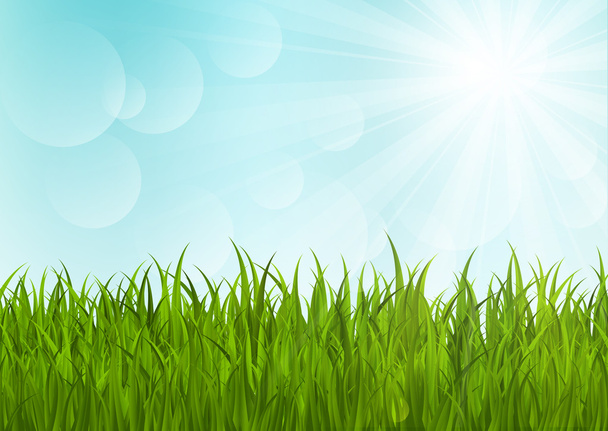 Erba verde su sfondo soleggiato 2
 - Vettoriali, immagini