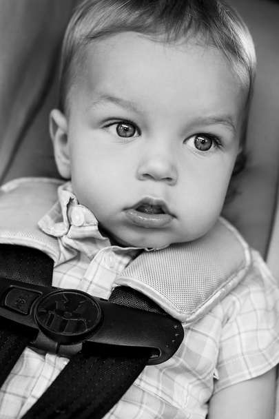 podobizna chlapce roztomilé batole  - Fotografie, Obrázek