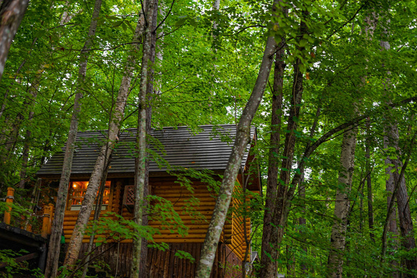Image of Lodge standing in the forest. Shooting Location: Hokkaido Furano - Zdjęcie, obraz