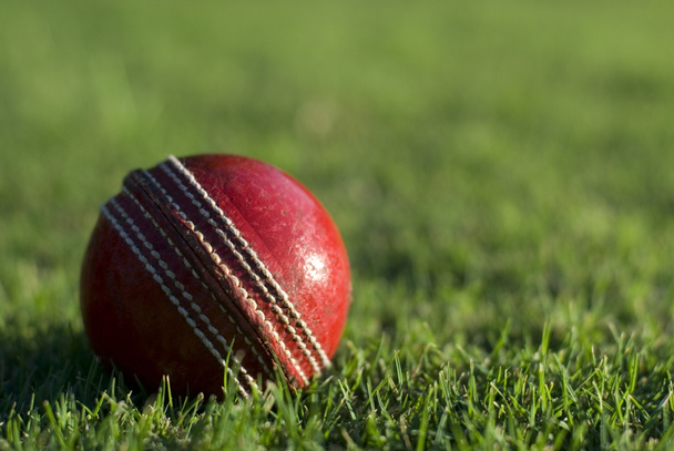 Piros krikett labda zöld füvön - Fotó, kép