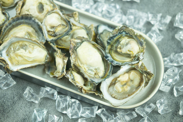 Fresh half-shell oyster on tray, close up - Foto, Imagem