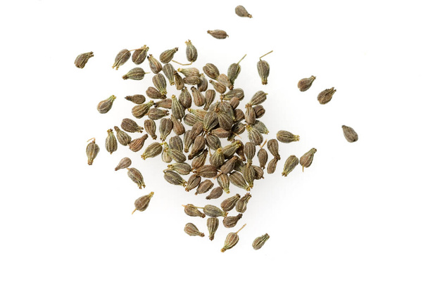 dry seeds of a pile of dried dill isolated on white background - Fotó, kép