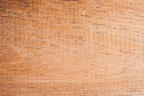 texture of wood. background - Zdjęcie, obraz