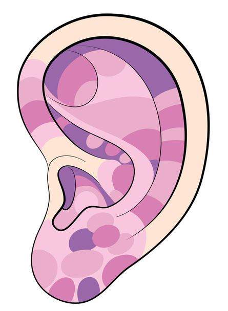 Ear reflexology areas pink - Vector, Image