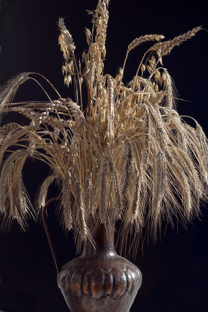 a closeup shot of a beautiful white wheat ears on a black background - Fotoğraf, Görsel
