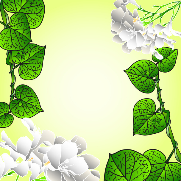 achtergrond van bloemen 10 - Vector, afbeelding