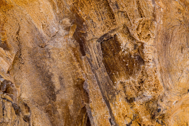 texture of the stone in the park - Photo, image