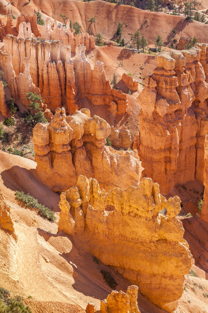Park Narodowy Bryce Canyon, Utah, USA - Zdjęcie, obraz