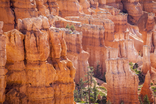 Parque Nacional do Canyon Bryce em Utah, EUA - Foto, Imagem