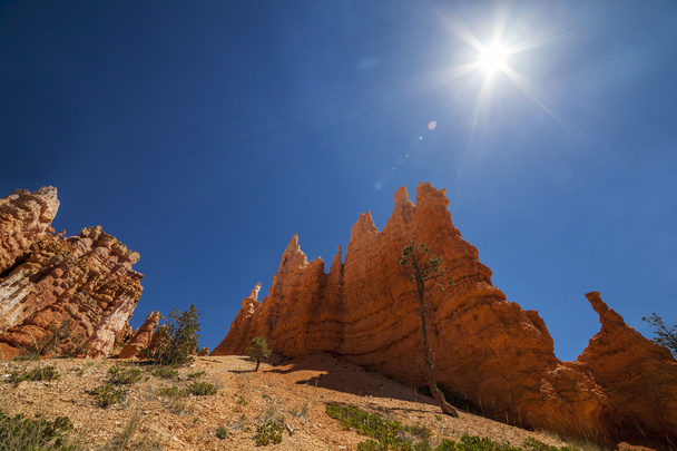 Bryce Canyon kansallispuisto Utahissa, Yhdysvalloissa - Valokuva, kuva