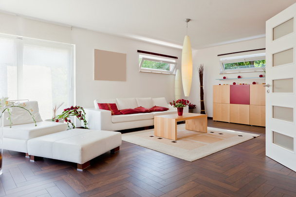 Modern house, living-room with the modern furniture - Foto, Imagem