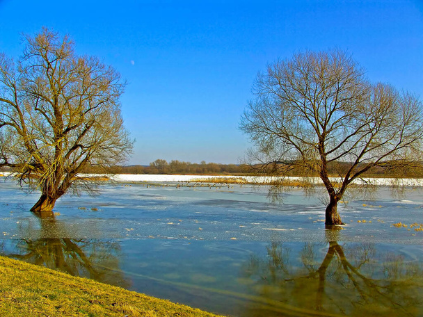 beautiful landscape with a river and a lake - Zdjęcie, obraz