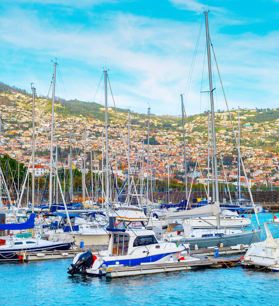 Marina with moored yachts and motorboats in evening sunlight, Funchal cityscape on mountains in background, Madeira island, Portugal - Photo, image