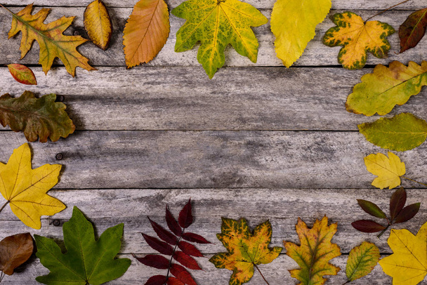 Cadre avec feuilles d'automne sur un fond en bois avec espace de copie pour le texte. - Photo, image