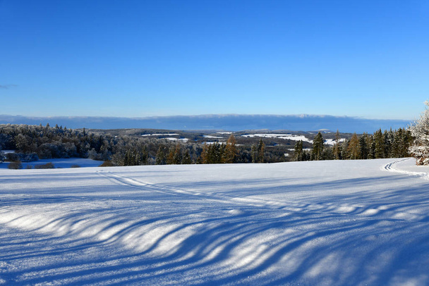 winter landscape with snow covered trees - Zdjęcie, obraz
