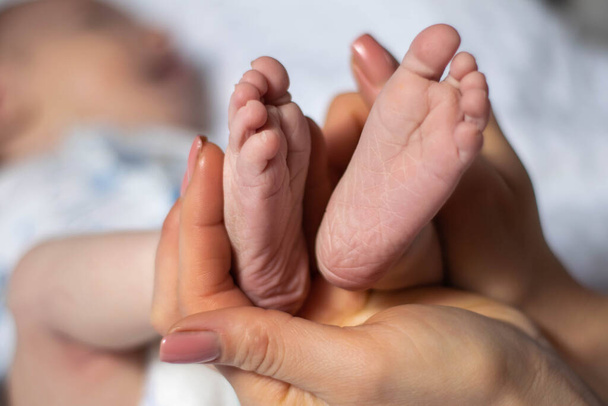 baby feet on a white background - Φωτογραφία, εικόνα