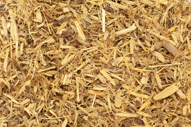 Dried Organic Liquorice roots (Glycyrrhiza glabra). Macro closeup background texture. Top view. - Photo, Image