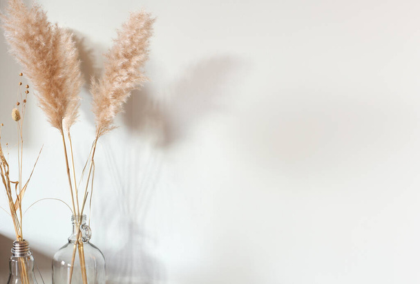 Dried pampas grass in glass vase on wooden table near white background, modern bright decoration for home interior, copy space,space for text - Photo, image