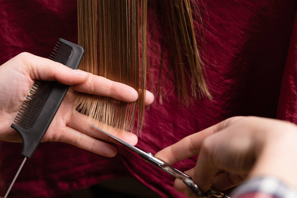 Closeup of hairdresser cutting blonde womens dry hair ends at home or salon. - Fotografie, Obrázek