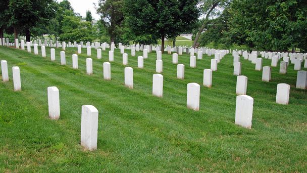 Tumbas en el Cementerio Nacional de Arlington
 - Foto, Imagen