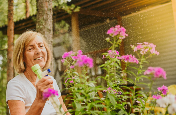 Vanhukset vanhempi puutarhuri maanviljelijä nainen hoitaa kukkia kesäpuutarhassa maaseudulla ulkona, suihkuttaa kukkivat kasvit käyttäen veden jauhaja. Maanviljely, puutarhanhoito, maatalous, eläkkeellä olevat vanhukset. - Valokuva, kuva