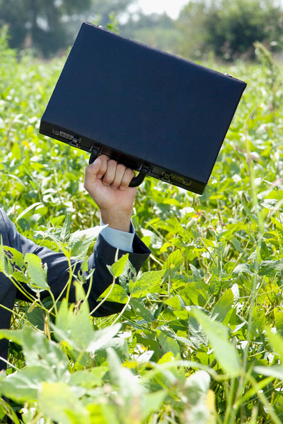a man in a suit with a green grass and a book - Фото, изображение